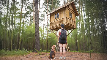 TIMELAPSE - Girl Builds Incredible Bamboo Tree House in the Woods | From Start to Finish