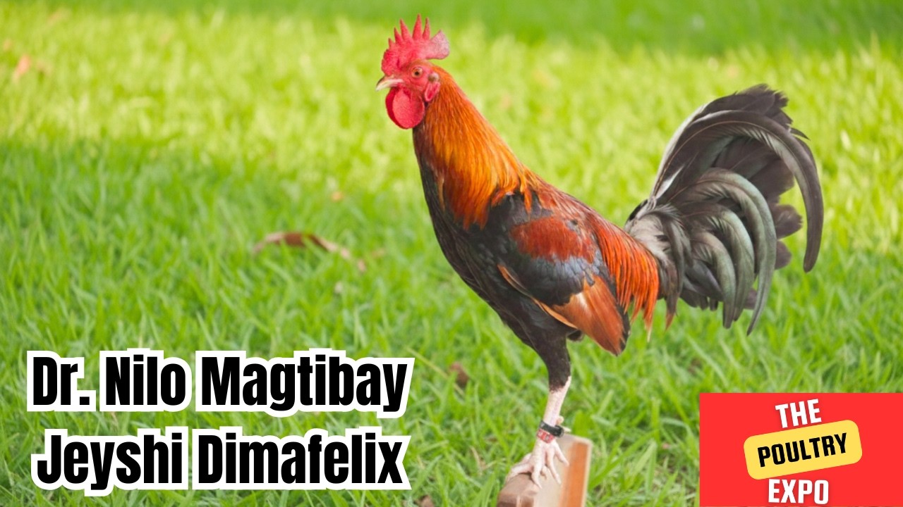 IGF 2026 | Doc Nilo Magtibay | Jeyshi Dimafelix