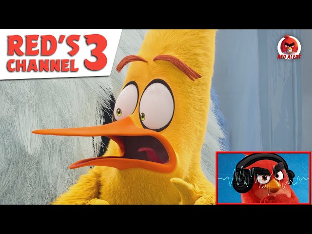 The Angry Birds Movie 2' opens can of worms