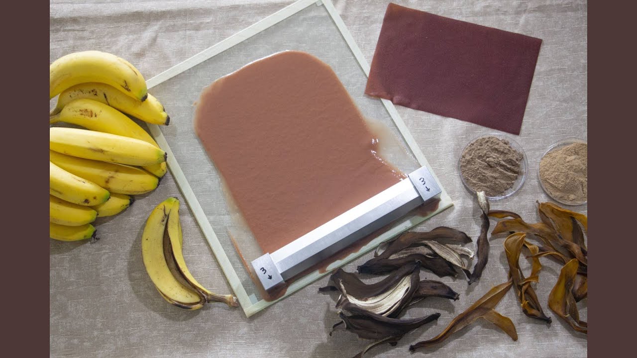 Pesquisadores transformam casca de banana em filme bioplástico