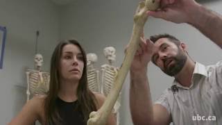 Use of 3D Imaging and Rapid Prototyping