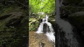 Dark Hollow Falls | Nature #Shorts | Shenandoah National Park | Waterfall Wednesday | View 2