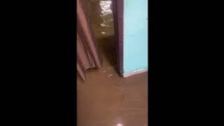 DUGAAN AIR MASUK RUMAH PADA TARIKH 22/11/2025 