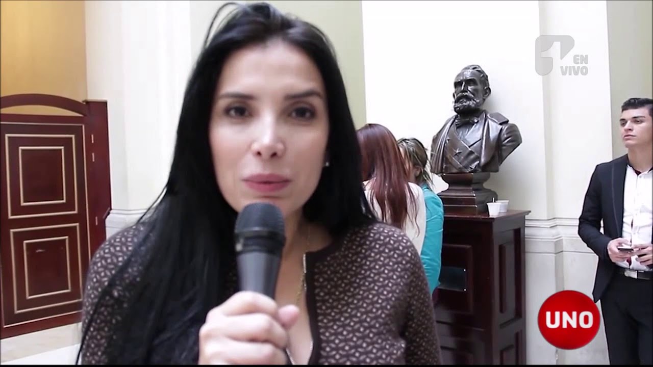 El roscograma de Aida Merlano y sus conexiones políticas