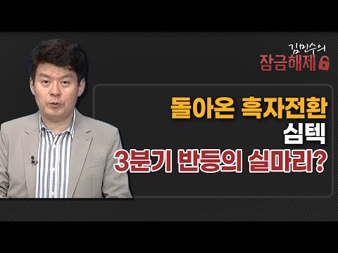 [김민수의 잠금해제] 돌아온 흑자전환 <strong>심텍</strong> 3분기 반등의 실마리? / 머니투데이방송 (증시, 증권)