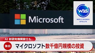 マイクロソフト 日本で数千億円規模投資 AI新研究機関の設立も【WBS】（2024年4月5日）