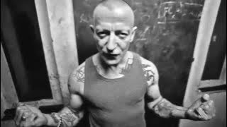 THE ANALOGS 'Moje Miasto'