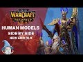 Human (and Blood Elf) Models Comparison (Reforged vs Classic) | Warcraft 3 Reforged Beta