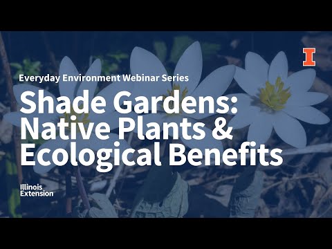 Shade Gardens: Native Plants and Ecological Benefits