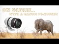 Canon RF 70-200mm f/2.8 Review for Wildlife Photography