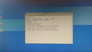 what dose sudo rm -rd /* do to your linux 🤔