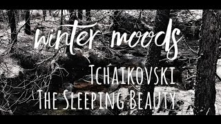 Pyotr Ilyich Tchaikovsky - The Sleeping Beauty (Op. 66, Act II, No. 17, Panorama)