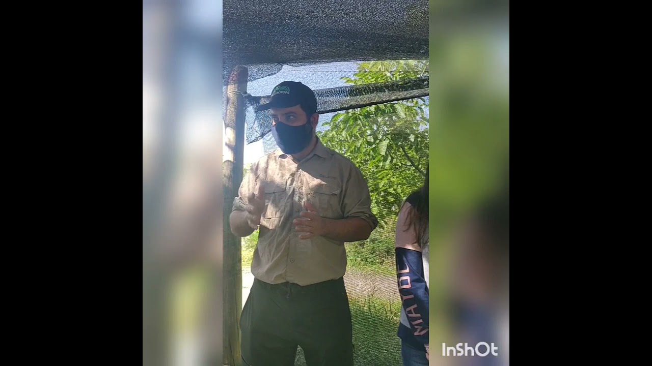 Visita a Geonuts, Viernes 12/11/2021