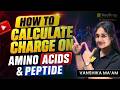 How To Calculate Charge on Amino Acids & Peptides 🔥 Complete Trick | VedPrep