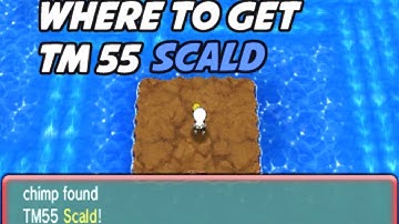 Where to get TM 55 Scald