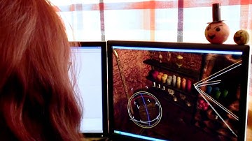 Age of Conan: Hyborian Adventures - Developer