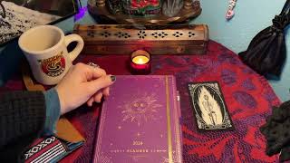 My Online No-Buy 2024 // Capricorn Season Update