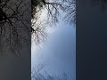 29 февраля 2024 г.