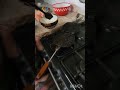 Easy Homemade Mold Cookies