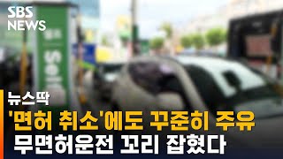 음주운전으로 '면허 취소'됐는데…주유 내역이? / SBS / 뉴스딱