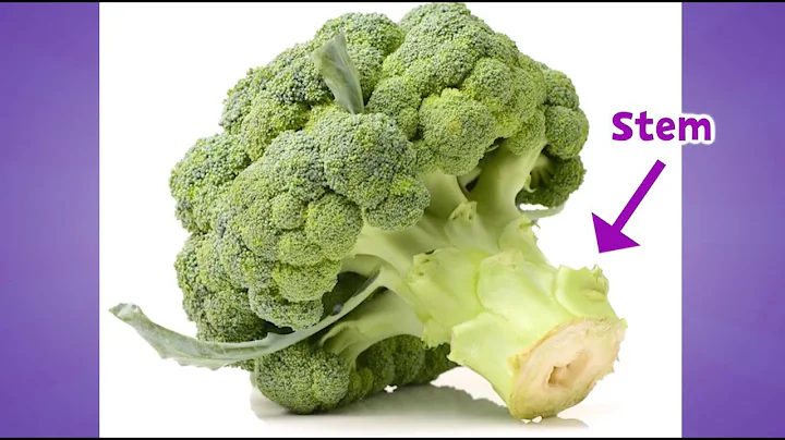 Cruciferous Vegetables Nutrition & Activities - Elementary Health and Wellness | Let's Learn GA!