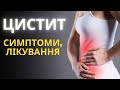 Які головні симптоми циститу? Як лікувати цистит? | гінеколог Тетяна Зубкова | Ранок надії