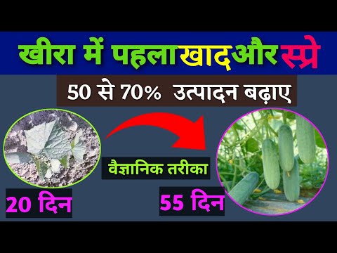 वीडियो: स्टॉक एक्सचेंज रेट क्या है? MICEX और BVSE