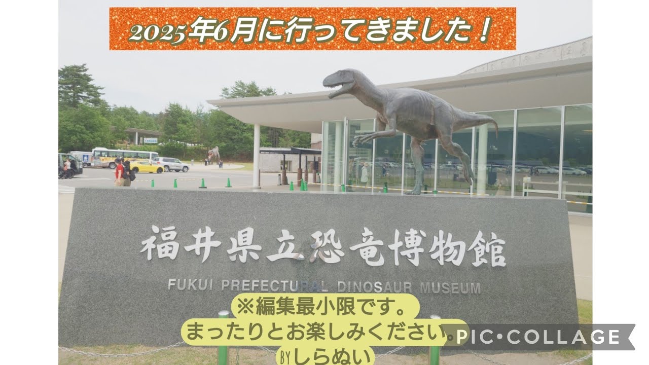 福井県立恐竜博物館に行ってきました(2025年6月)