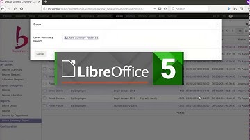 Odoo Leave Summary Report