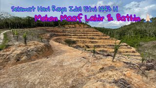 Sistim Titik Tanam Kelapa Sawit Pada Lahan Terasering Kontur Sistim Titik Tanam Kelapa Sawit Pada Lahan Terasering Kontur