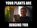 Know Exactly How Your Plant Feels