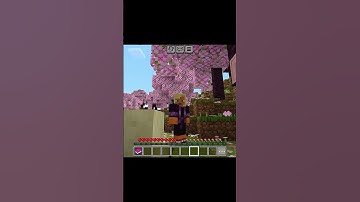 Minecraft but whatever I see turn into random blocks. #minecraft #minecraftshorts