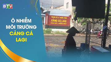 [BTV] - Ô nhiễm môi trường cảng cá La Gi | Tài nguyên môi trường
