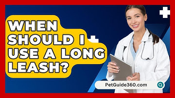 When Should I Use A Long Leash? - PetGuide360.com