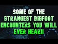 SOME OF THE STRANGEST BIGFOOT ENCOUNTERS YOU WILL EVER HEAR!!!