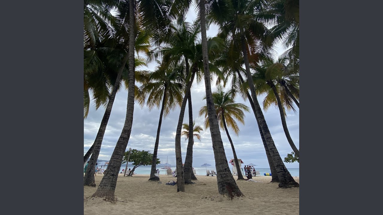 Watch MOVE IN SILENCE on YouTube Watch MOVE IN SILENCE on YouTube