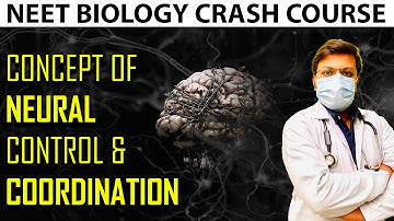 Concept of Neural Control & Coordination  | Crash Course for NEET Biology | Part -2 | Dr S K Singh