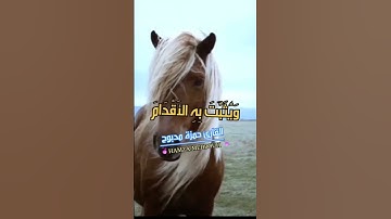 القرآن الكريم وكانك تسمعه لأول مرة ❤️💓💓🌹رمضان كريم