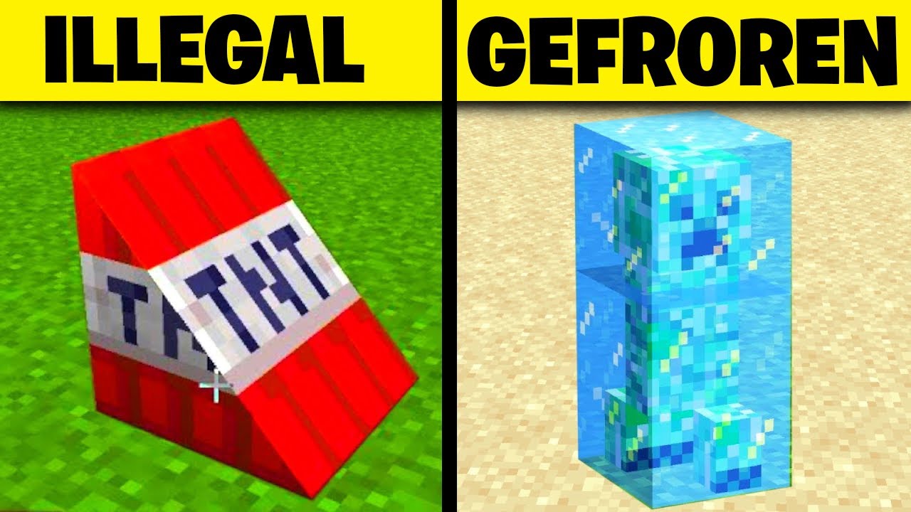 34 DINGE in MINECRAFT die nur PROFIS machen!