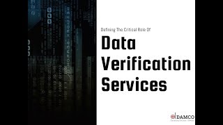 Defining The Critical Role Of Data Verification Services: Damco Solutions