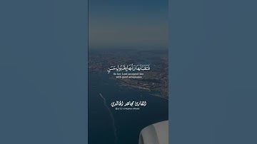 #قرآن #quran #explore #تلاوة #قران #fyp #اكسبلور_فولو #reels#اسلام_صبحي #السعودية #مجاهدالخالدي