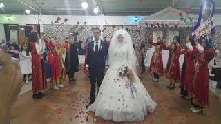 Kırmızı Güller Eşliğinde Gelin Damat Girişi Ve Karşılanması - Mardin İlahi Semazen Grubu Tanıtımı