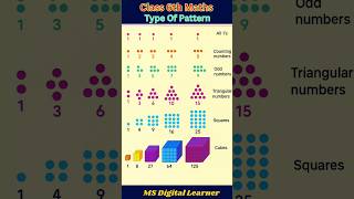 Mathematics Pattern | Class 6 math | Symmetry #ganitprakash #mathstricks