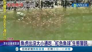 高雄\\