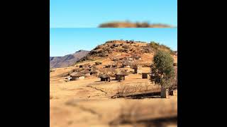 Lesholu La Mafeteng No6 Famole 10 Sekoele Batla Tsoara Famole