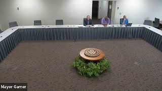 4/13/23 Government Efficiency Taskforce Meeting
