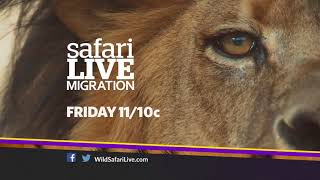 Your journey through the Great Migration continues with safariLIVE!