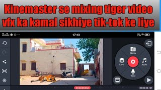 How To Joint Picture Editing Green Background #01 #Wonderful#Comedy#Music screenshot 5