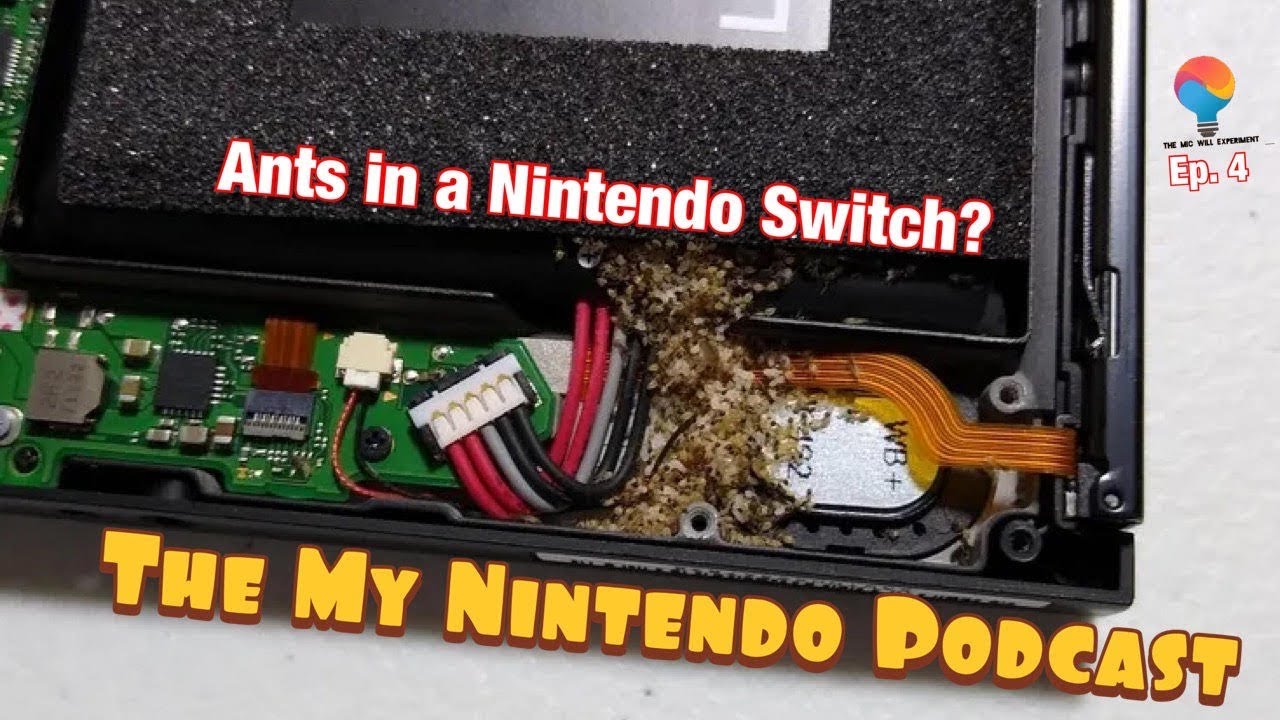 Ants Inside of A Nintendo Switch? YouTube