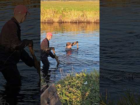 The men are fishing in the river.